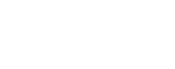 Southern Auctioneer